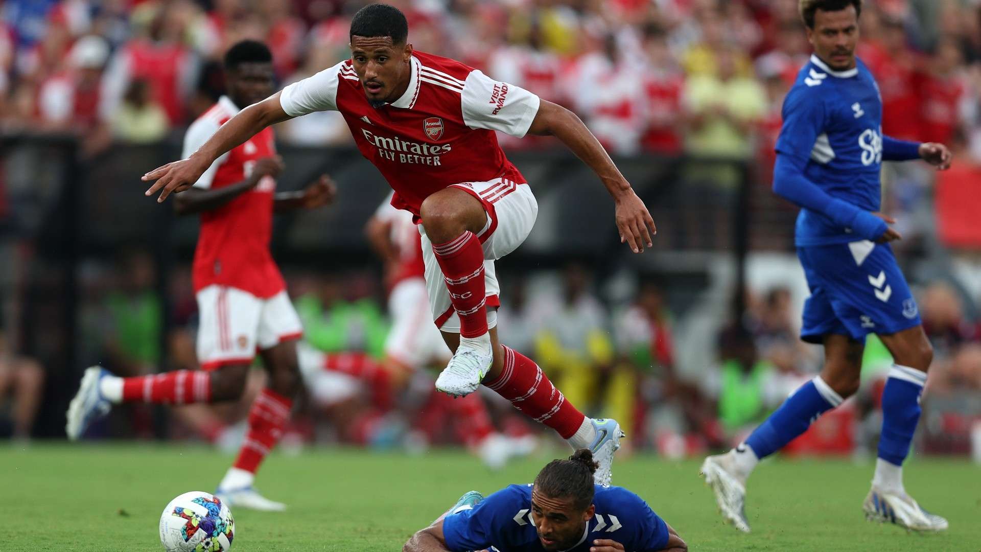 生動地詮釋 生動地詮釋